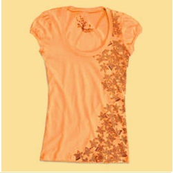 Manufacturers Exporters and Wholesale Suppliers of Ladies Top Uttarakhand Uttarakhand
